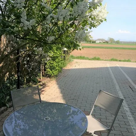 Le Cocon Avec Parking Prive & Terrasse