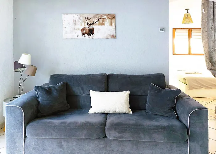 Le Cocon Avec Parking Privé&terrasse *