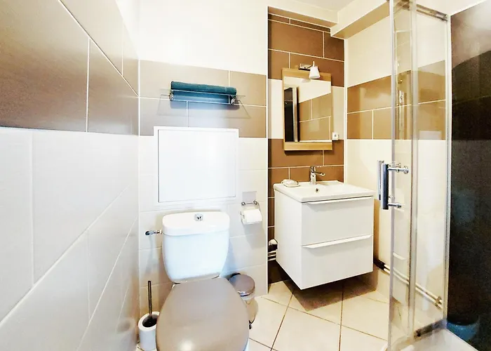 Le Cocon Avec Parking Privé&terrasse Appartamento *