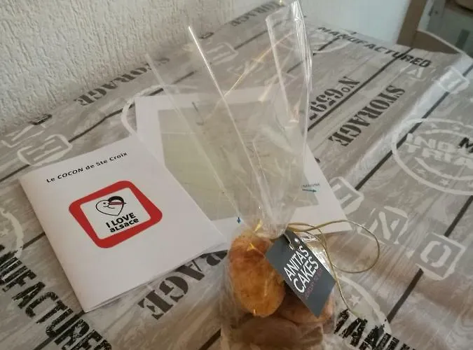 Appartamento Le Cocon Avec Parking Privé&terrasse Sainte-Croix-en-Plaine