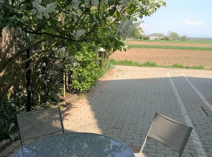 Le Cocon Avec Parking Privé&terrasse